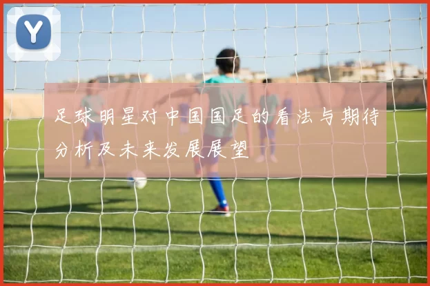 足球明星对中国国足的看法与期待分析及未来发展展望