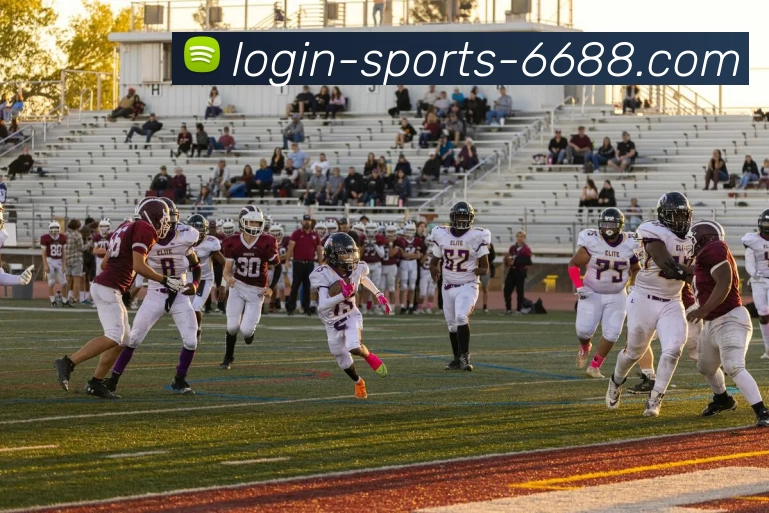 6688体育平台生态图